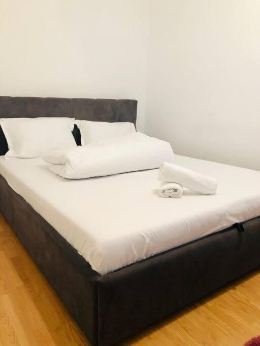 Nice Apt Near Spitalul Judetean, All You Need Lr14 Тимишоара Экстерьер фото