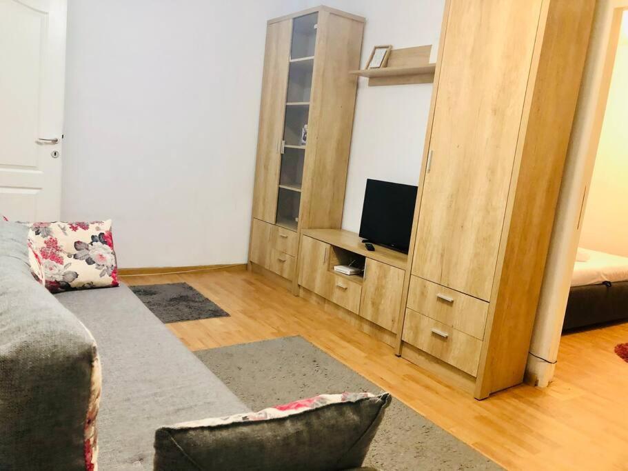 Nice Apt Near Spitalul Judetean, All You Need Lr14 Тимишоара Экстерьер фото