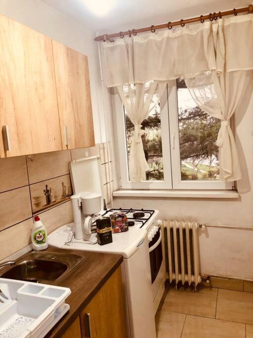 Nice Apt Near Spitalul Judetean, All You Need Lr14 Тимишоара Экстерьер фото