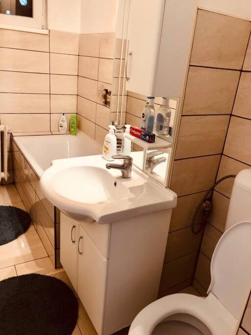 Nice Apt Near Spitalul Judetean, All You Need Lr14 Тимишоара Экстерьер фото