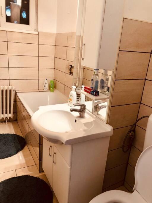 Nice Apt Near Spitalul Judetean, All You Need Lr14 Тимишоара Экстерьер фото