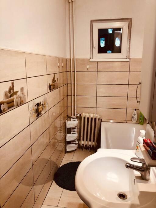 Nice Apt Near Spitalul Judetean, All You Need Lr14 Тимишоара Экстерьер фото