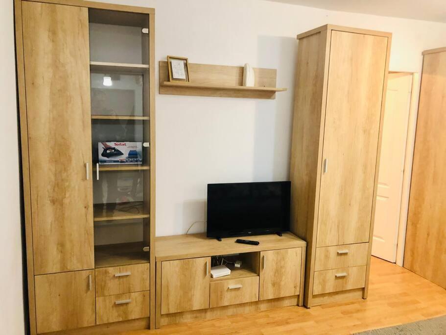 Nice Apt Near Spitalul Judetean, All You Need Lr14 Тимишоара Экстерьер фото