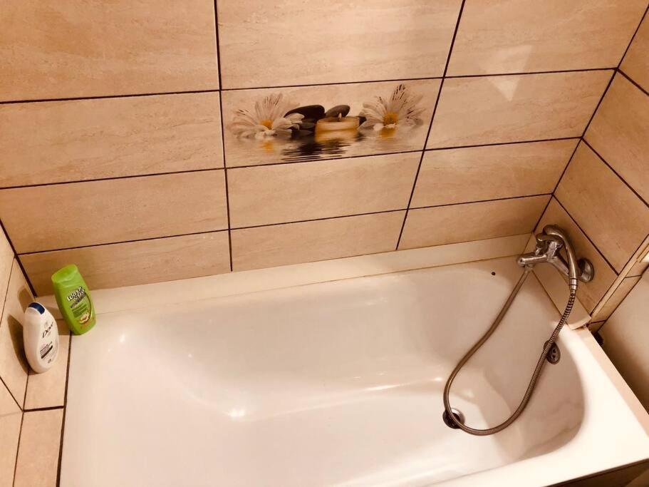 Nice Apt Near Spitalul Judetean, All You Need Lr14 Тимишоара Экстерьер фото